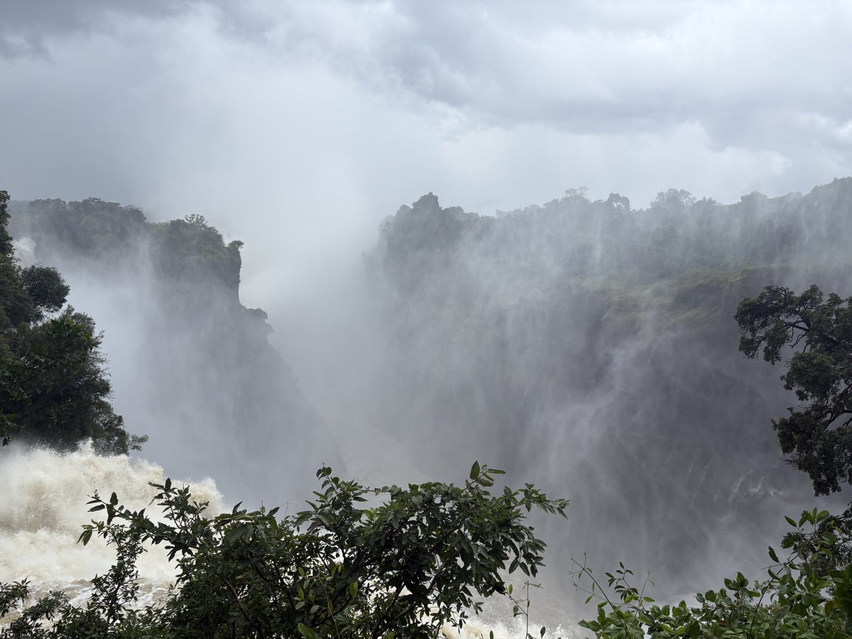 James Charlton tweet media