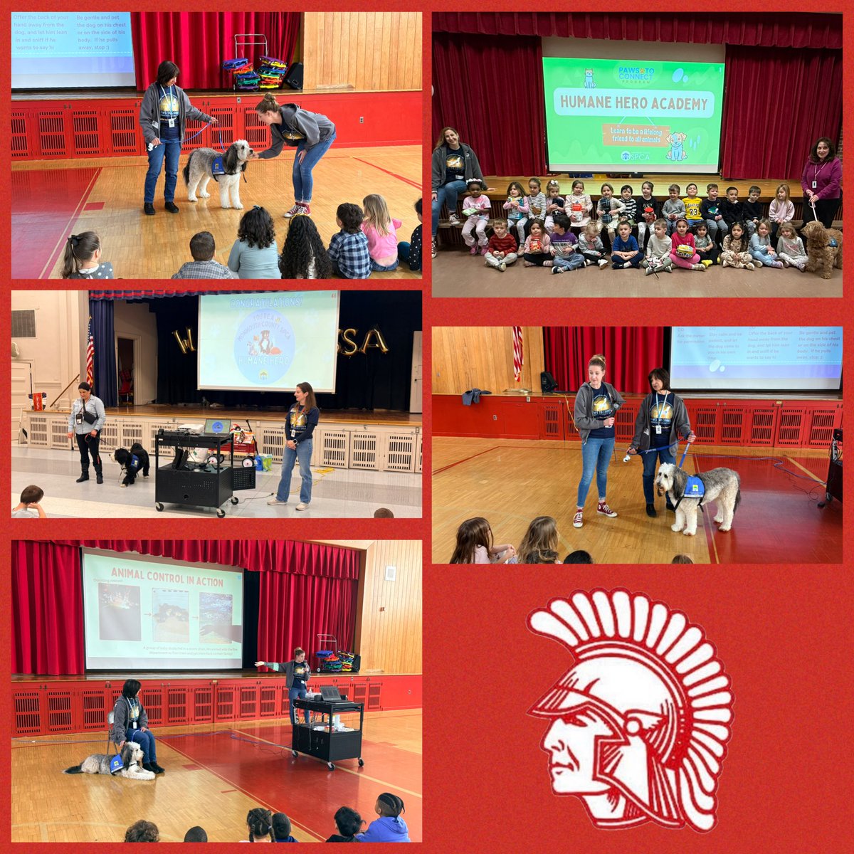 Cathy Longano tweet media