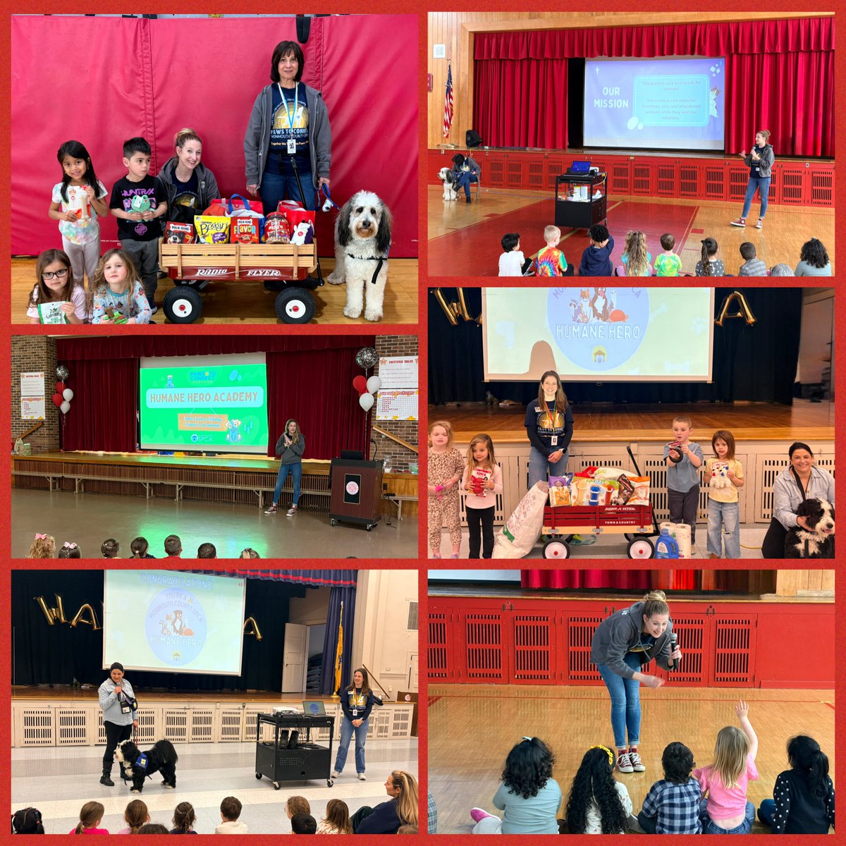 Cathy Longano tweet media