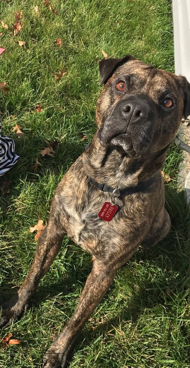 aaron 𐂂 tweet media