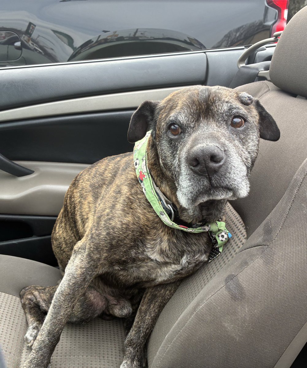 aaron 𐂂 tweet media