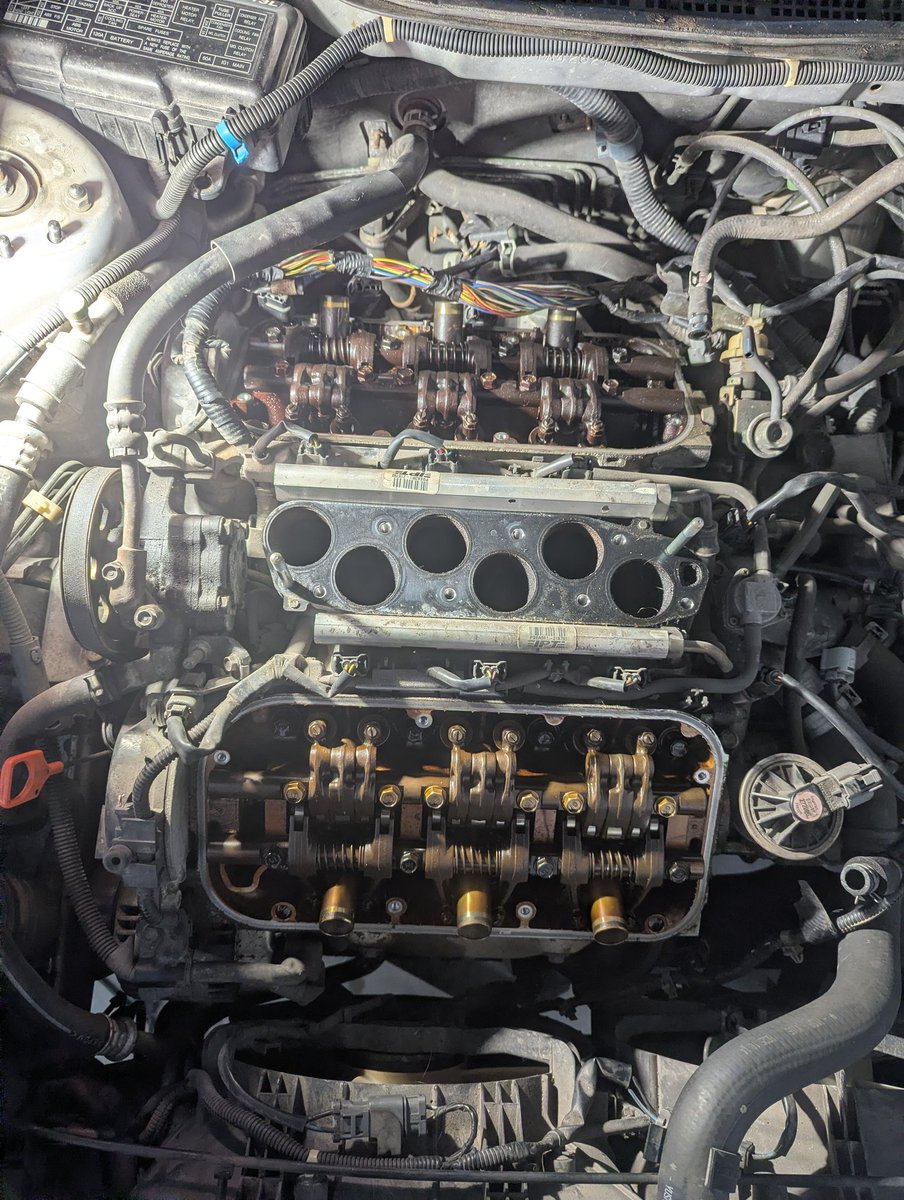 trenchgirl tweet media