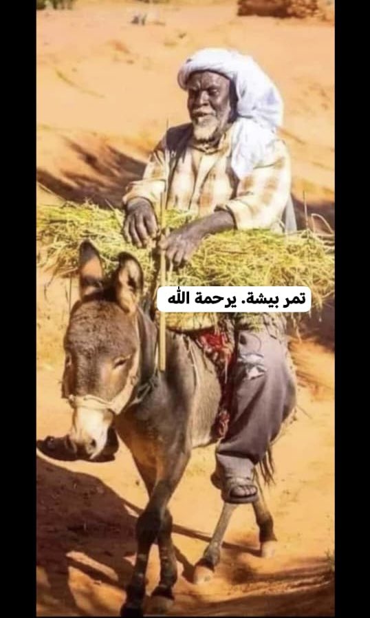 بندربن عبدالله أحمدال مفرح tweet media