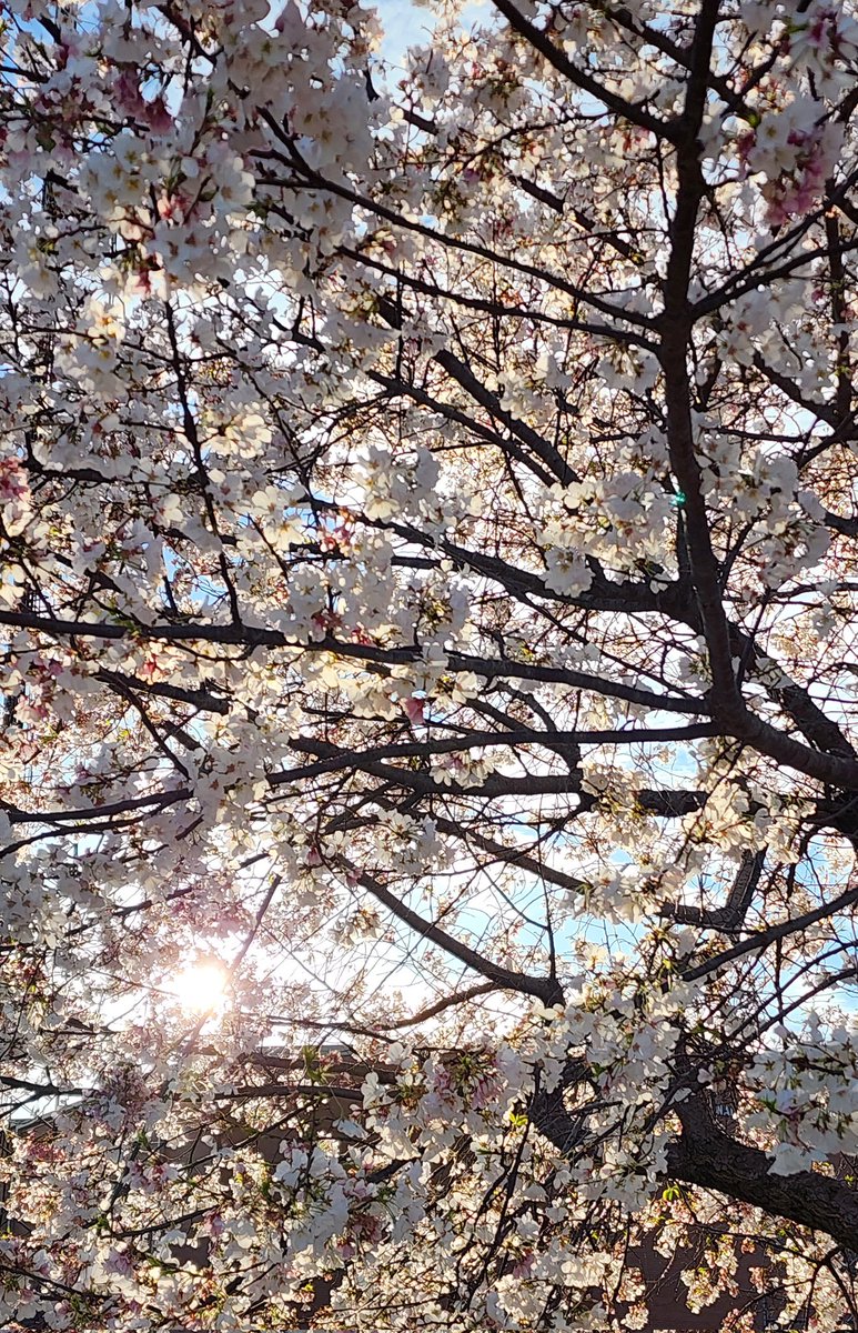 Chrissy is getting published! 🤩 tweet media