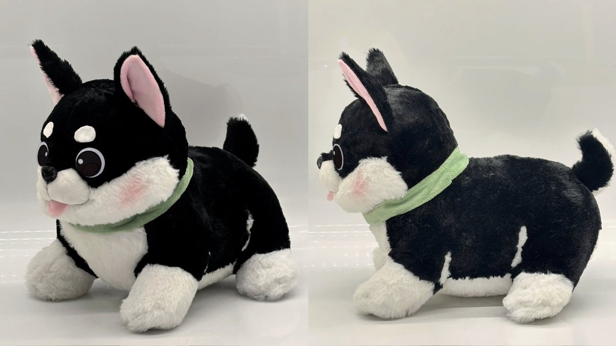 Elio | THE #1 Waterboy simp tweet media