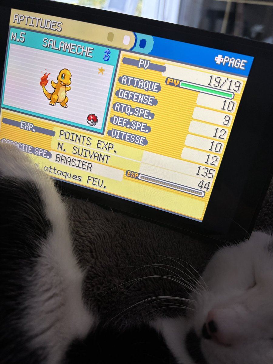 ⚜️ Satheen, chasseuse de platine 🏆 tweet media