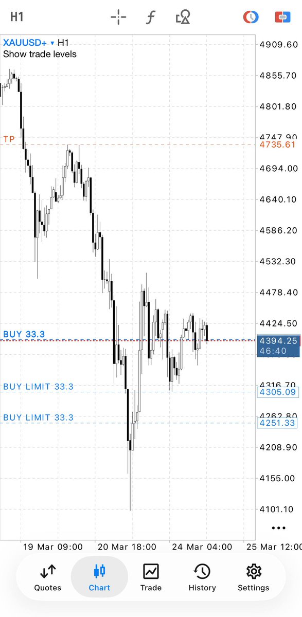 Tel.David tweet media