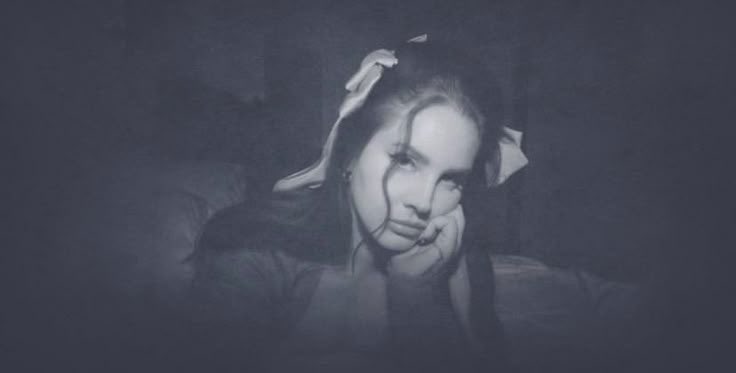 lacey 🦌 tweet media