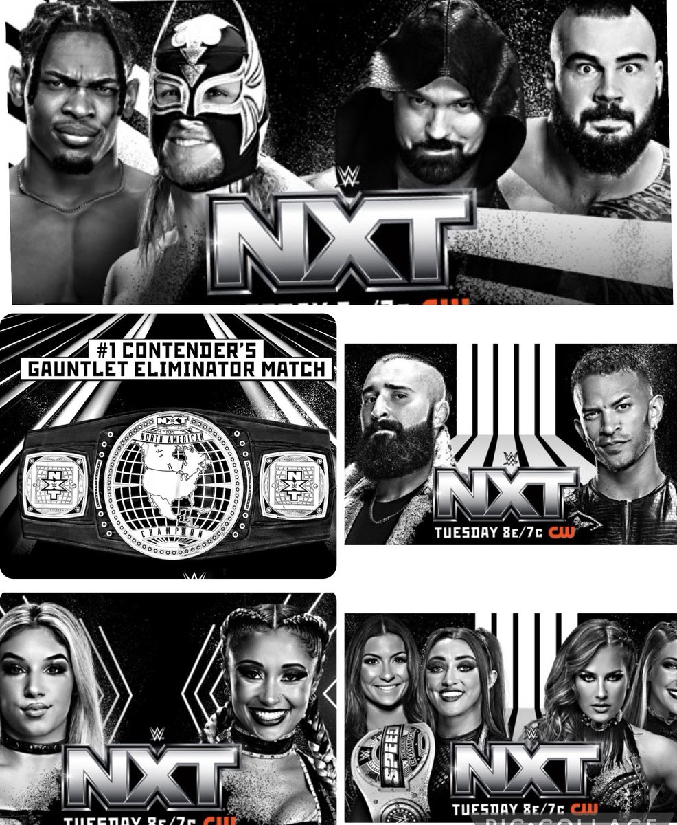 Robert Stone tweet media