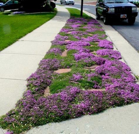 Give A Shit About Nature tweet media