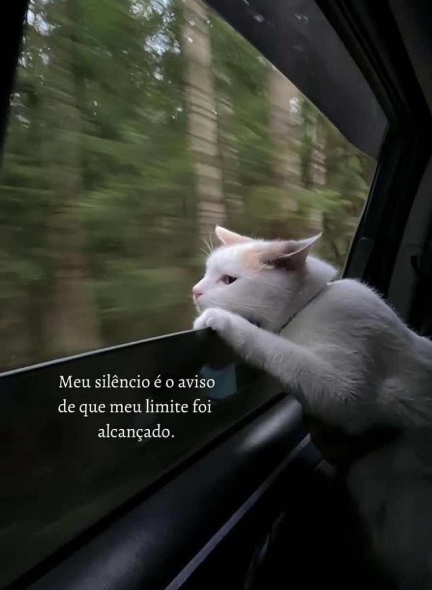 lembranças tweet media