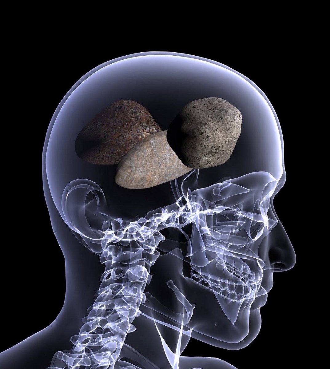 Tyler 🫐 tweet media