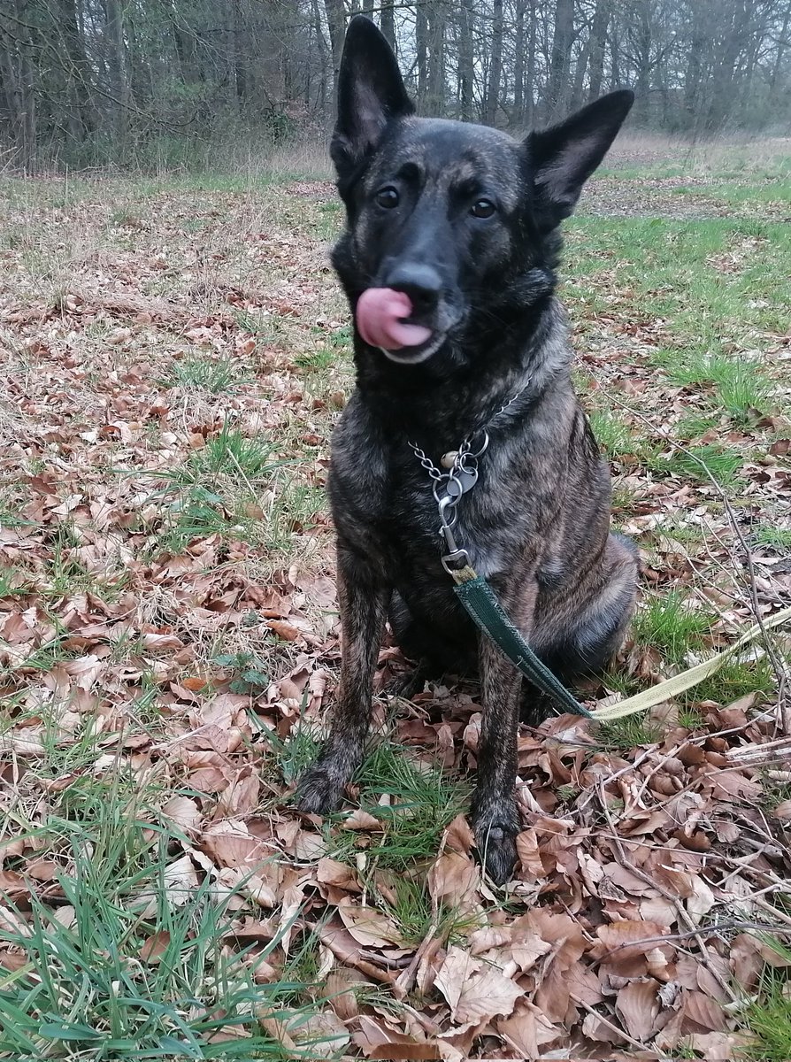 Ben Grabenbaer™ tweet media