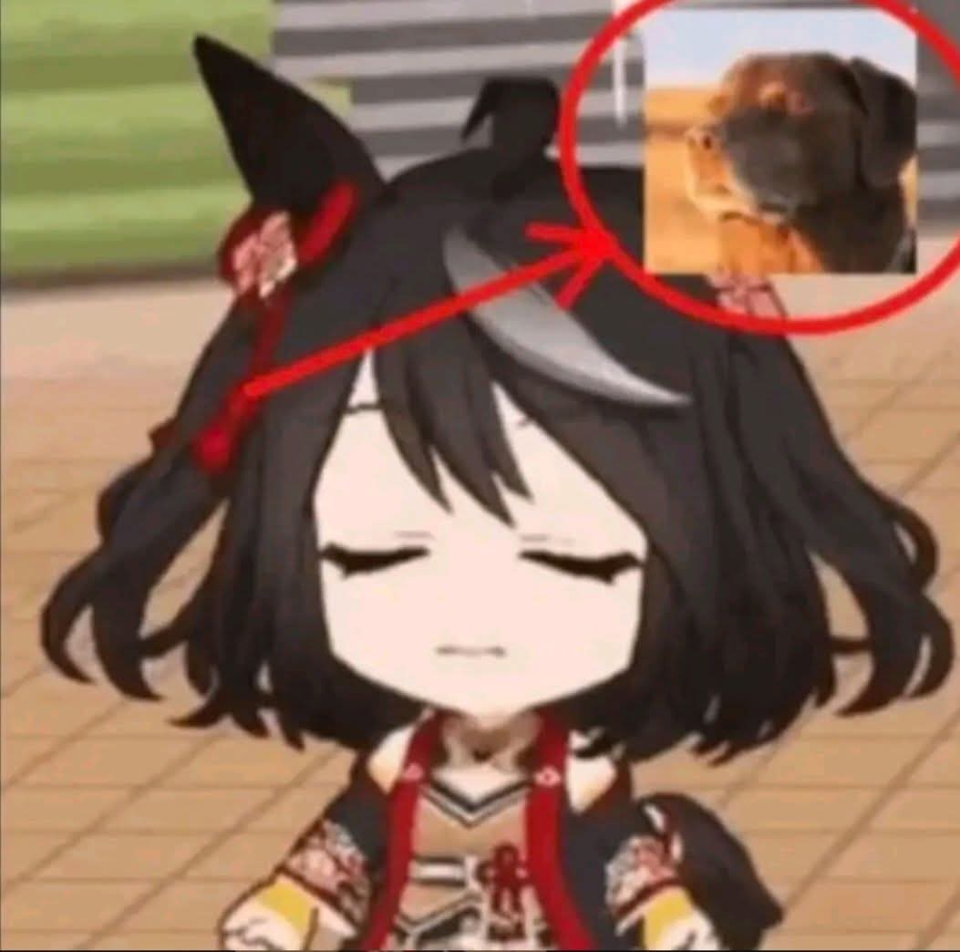 ÑFC Masherangel tweet media