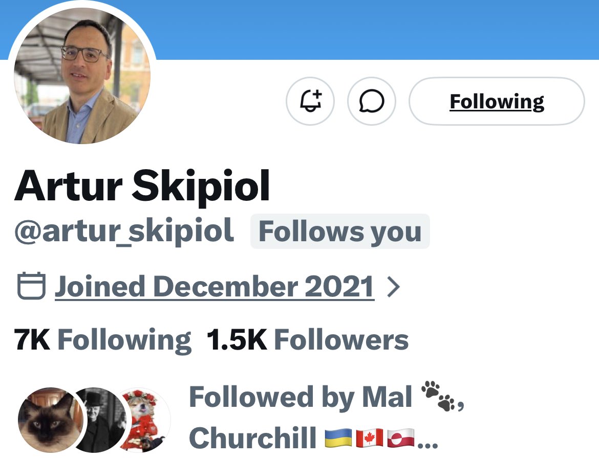 Turquoise Cat tweet media