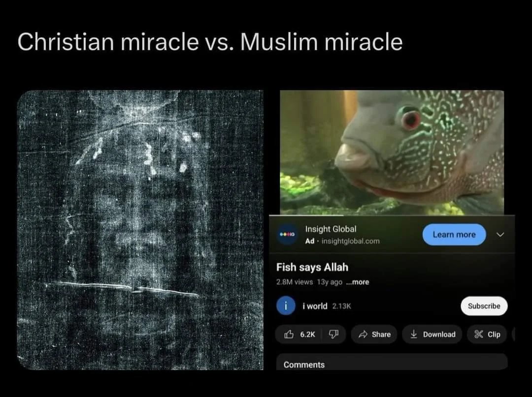 Templarpilled tweet media