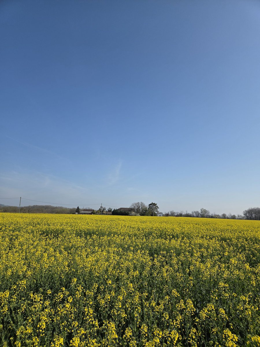 Pierre-Alexis Marre 🌾🌻🌽 tweet media