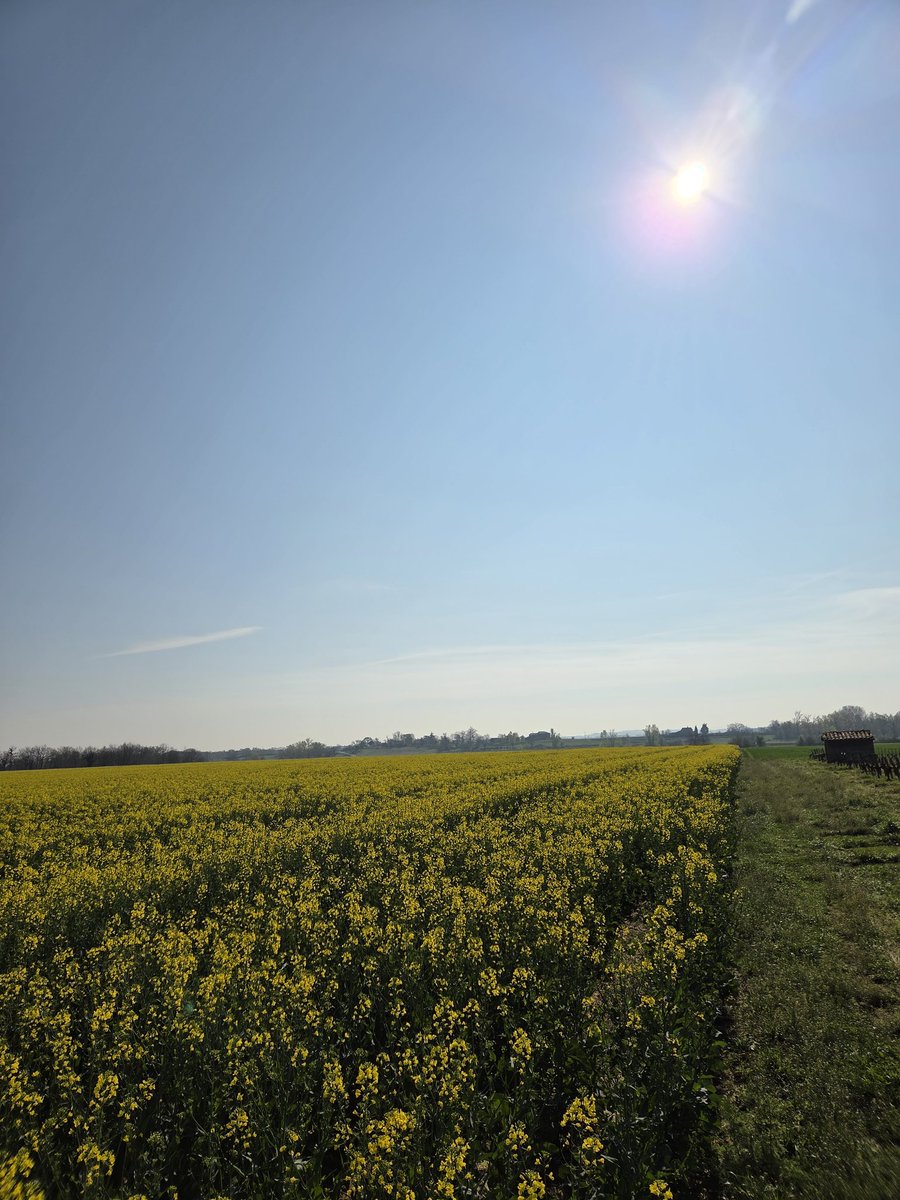 Pierre-Alexis Marre 🌾🌻🌽 tweet media