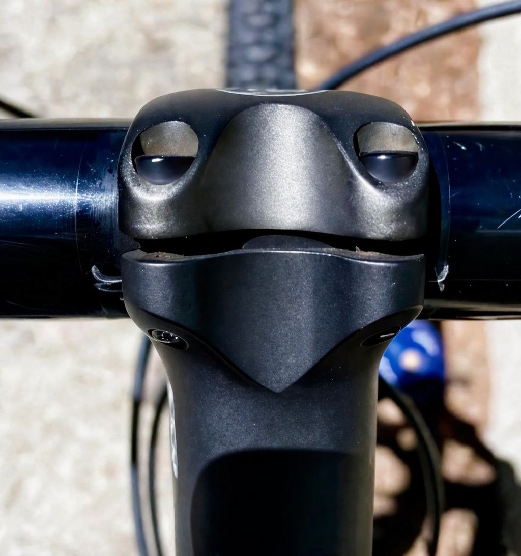 Holistic Fitness tweet media