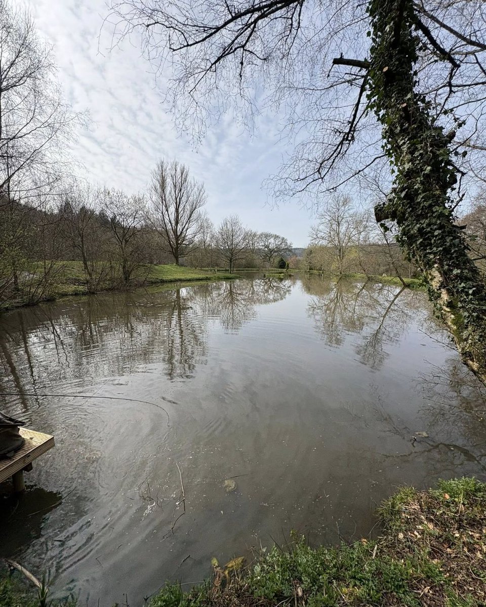 Short Stay Homes tweet media