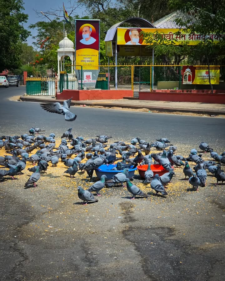 Balveer Verma tweet media