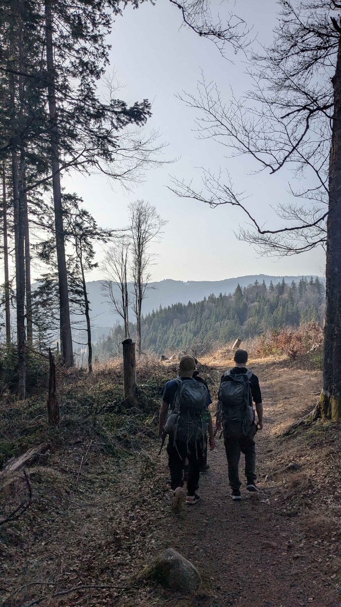 Yodsanan tweet media