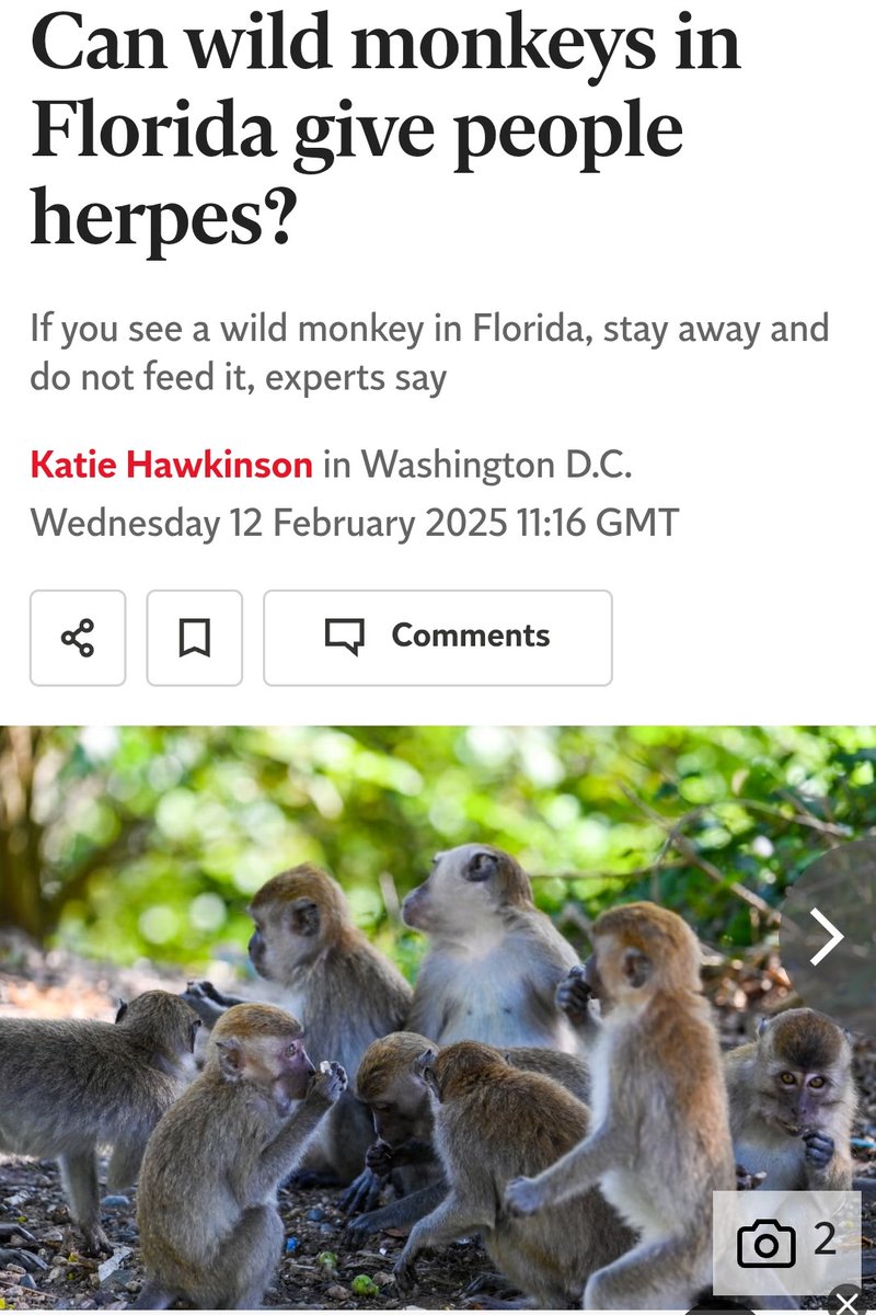 Farmer Crafted tweet media