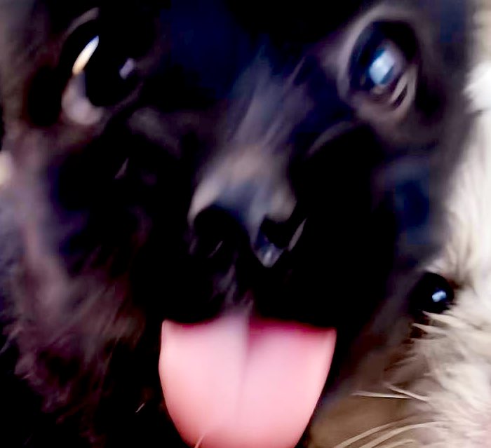 pidiendo una carta de recomendacion a 3 dias de que termine el plazo de entregarla