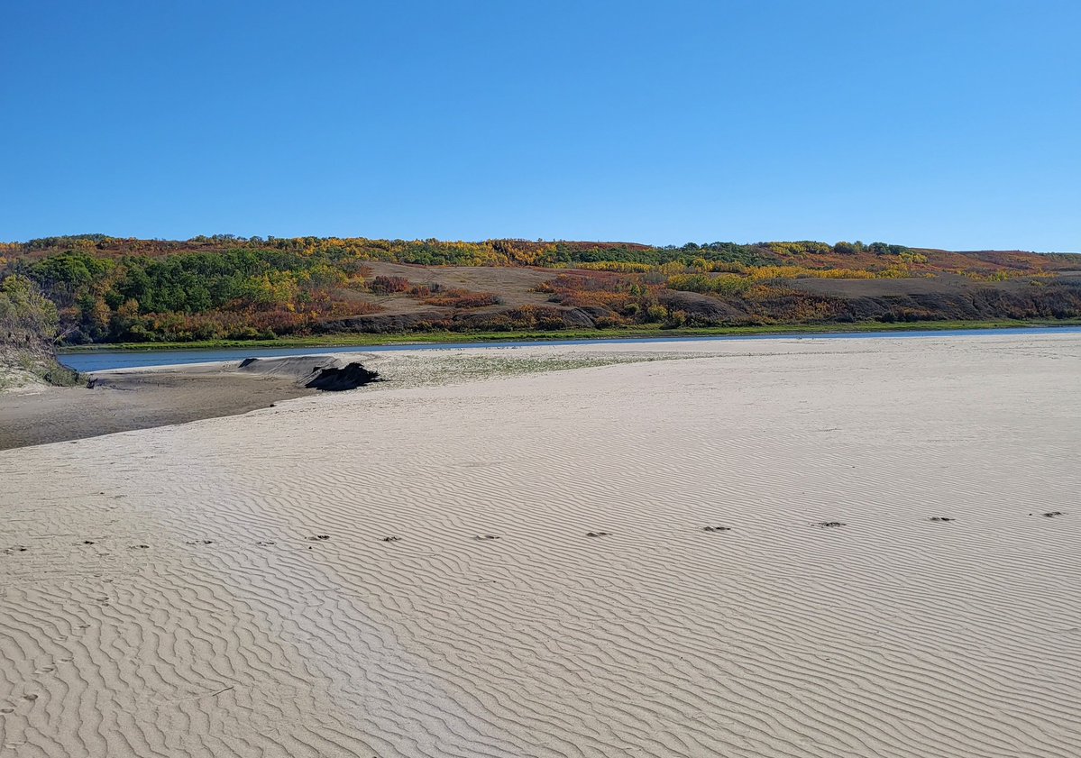 StuTubeTrading tweet media