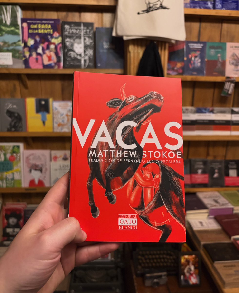 Editorial Gato Blanco tweet media