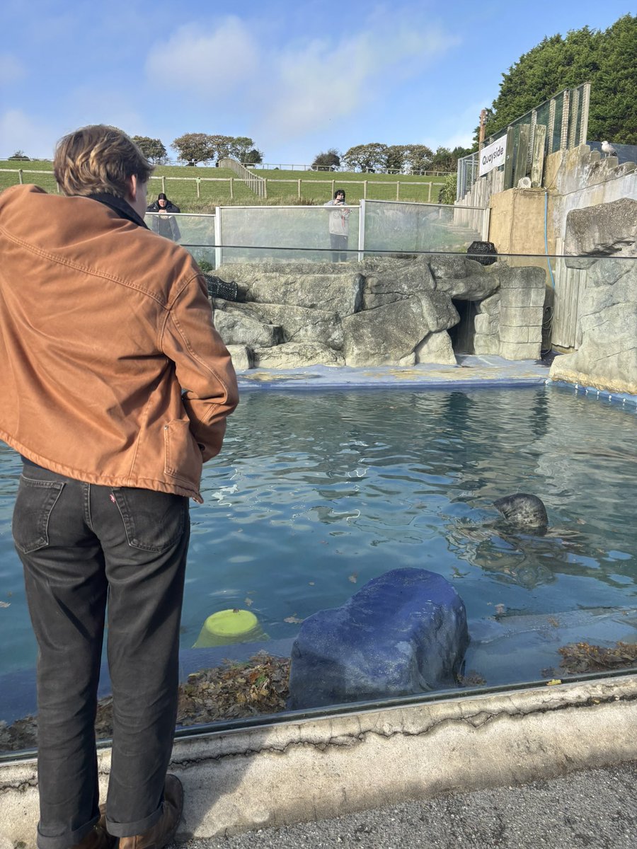 manic nixon dream girl tweet media