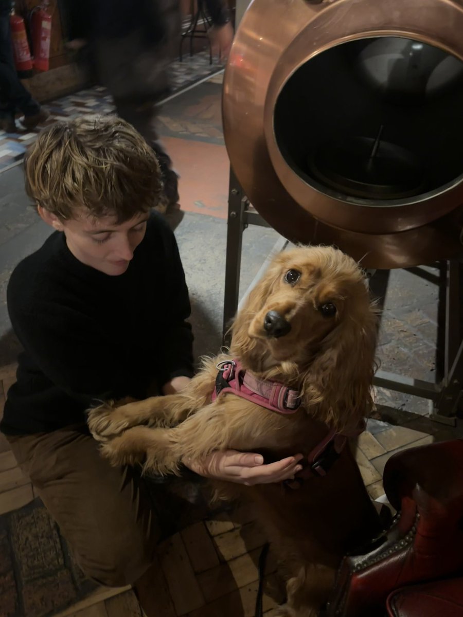 manic nixon dream girl tweet media