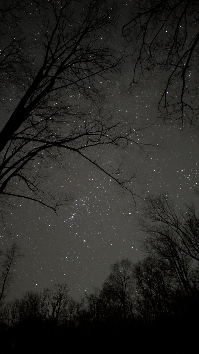 03/9/26 Forbes State Forest