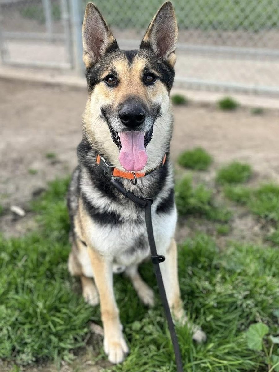 Christie McKiernan tweet media