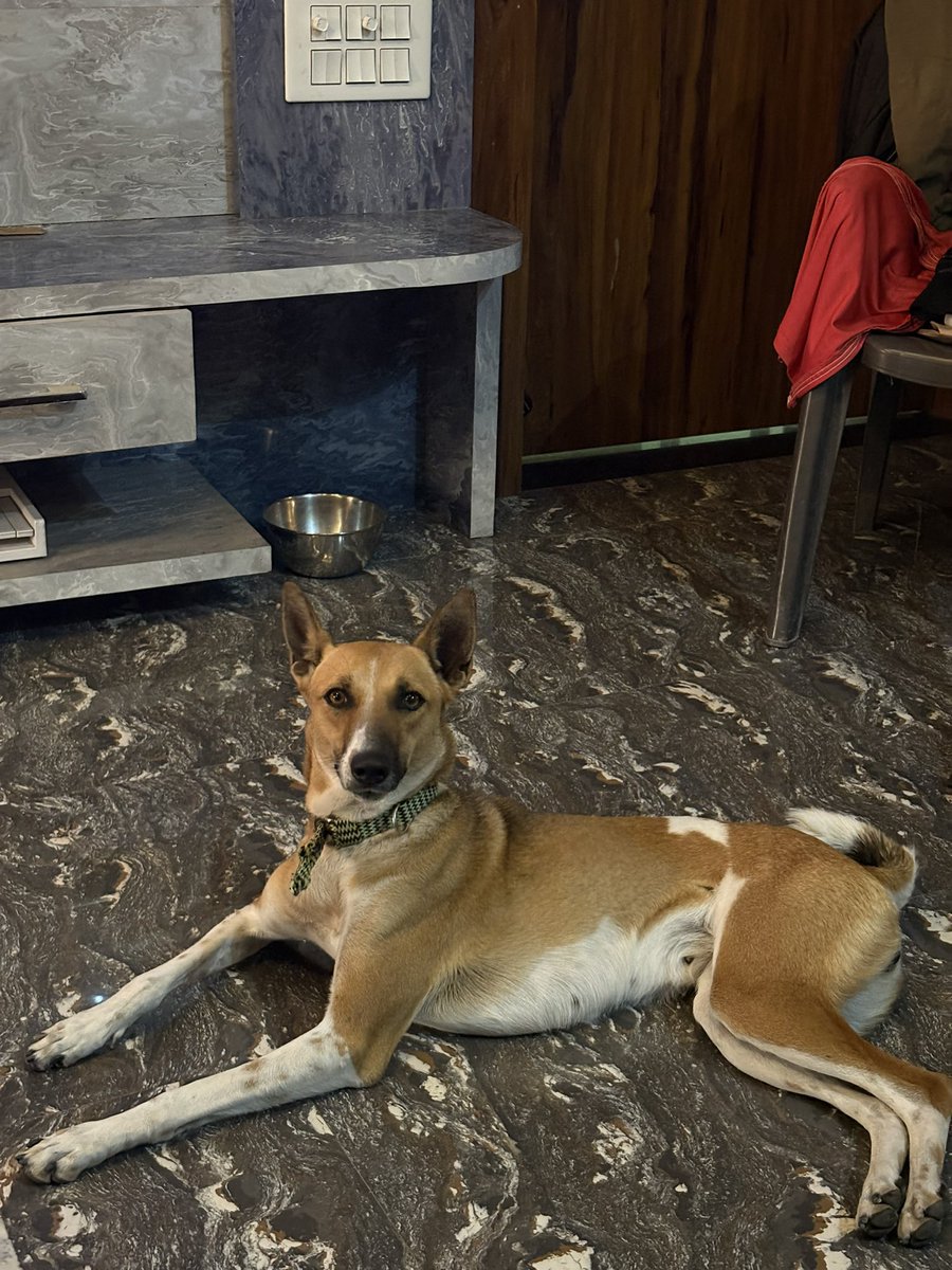 Randomparticle tweet media