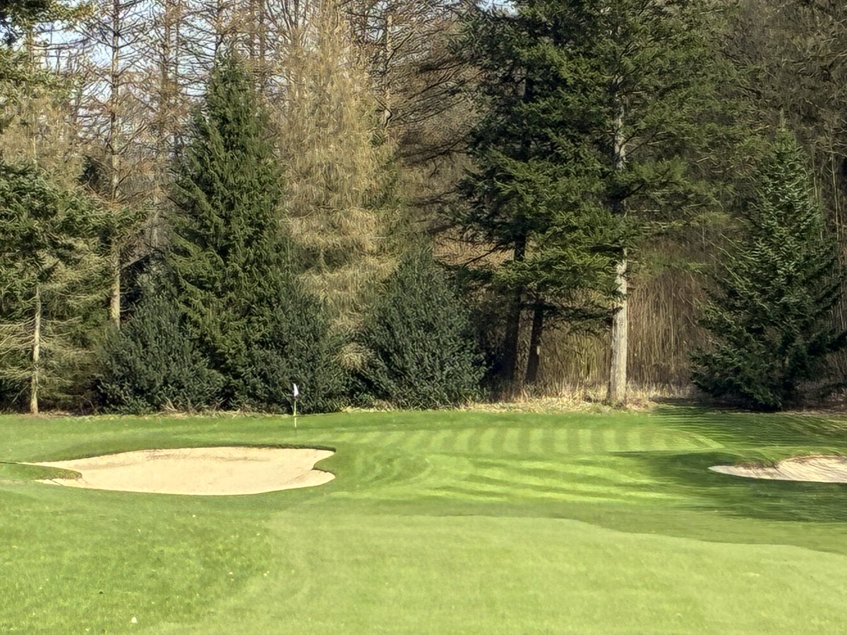 Richard Fortmuller tweet media