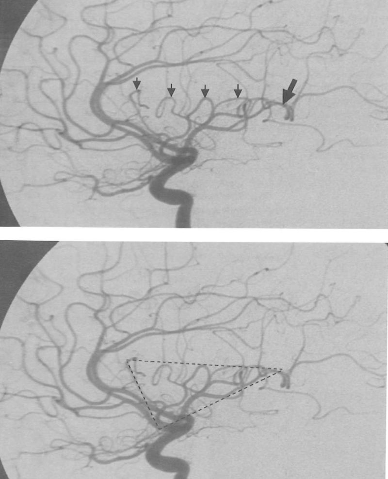Ohud Alharbi tweet media