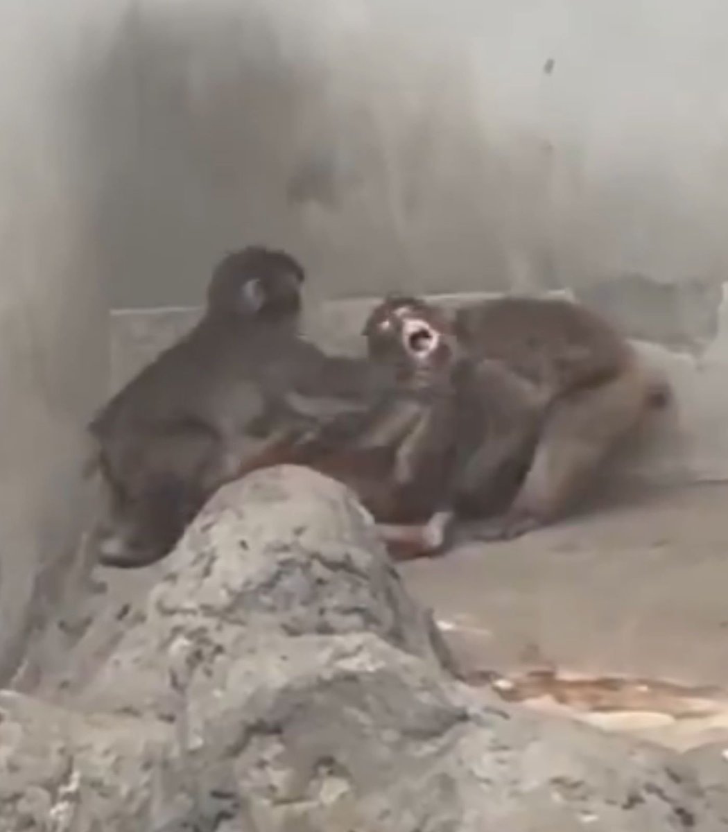 Boşuna Tıklama tweet media