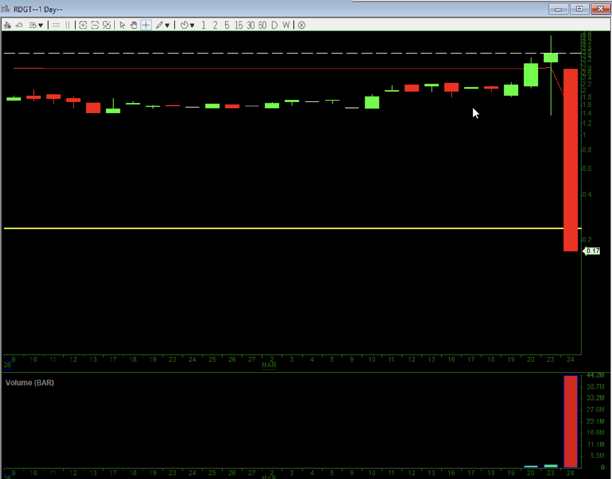 Robert K. tweet media