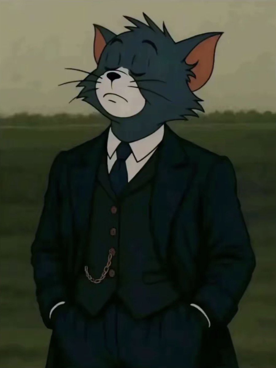 TheAlphaCircuit tweet media