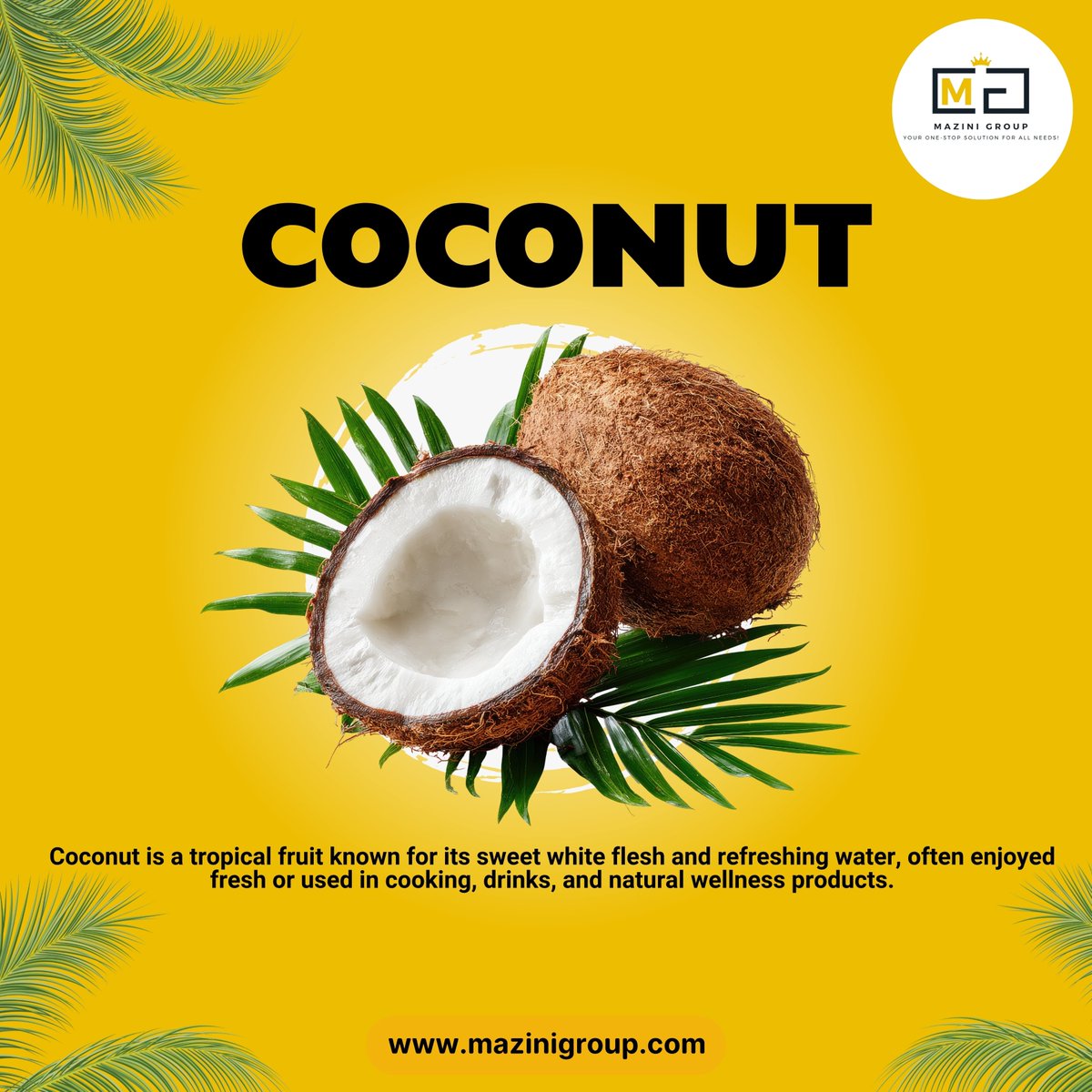 mazinigroup's tweet image. Nature’s Refreshment in a Shell. ✨

Sweet, white flesh and crisp, refreshing water—there’s nothing quite like a fresh coconut. A versatile staple for your kitchen and your wellness routine.

#Coconuts #WellnessJourney #FreshAndNatural #HealthyEats #TropicalVibes #MaziniGroup