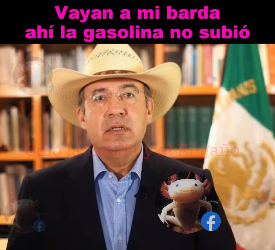 Freddy Oliviery tweet media