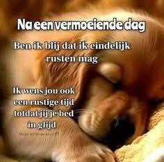 🐍Cobra_NL🏍 tweet media