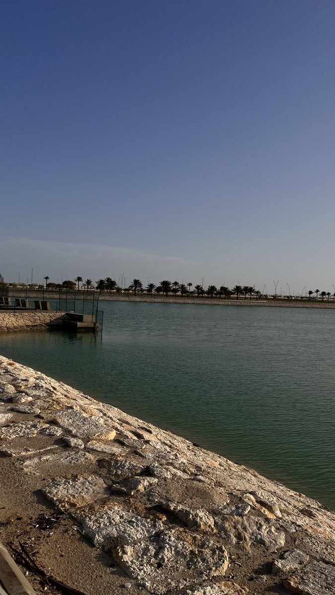 tune🎼 tweet media