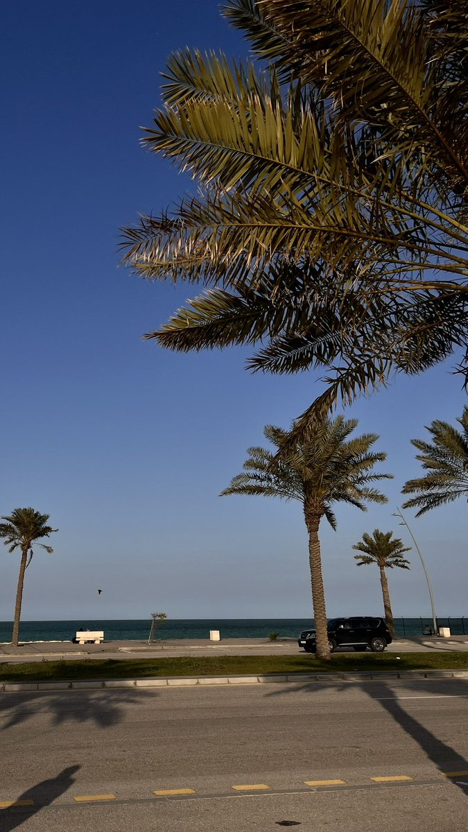 tune🎼 tweet media