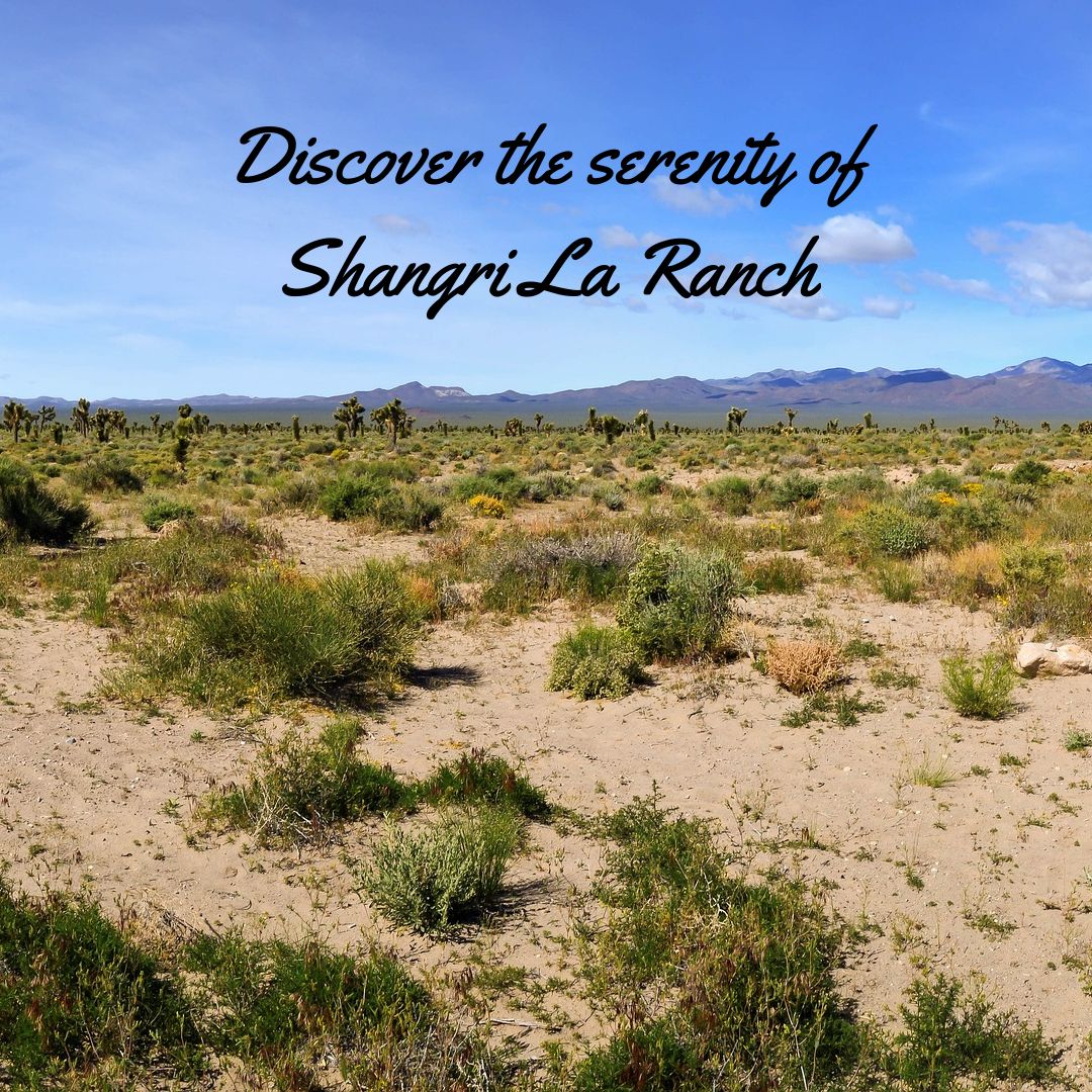 ShangriLa Ranch tweet media