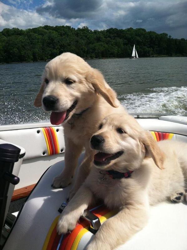 Stéphane Lefebvre - Slartzone production tweet media