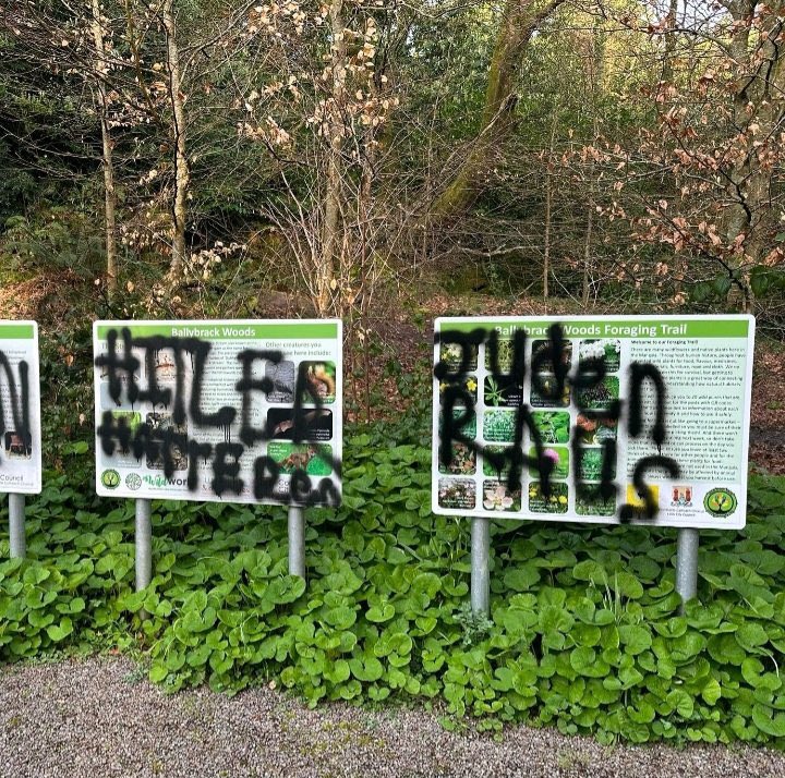 Rachel Moiselle tweet media