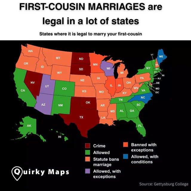 VB Knives tweet media