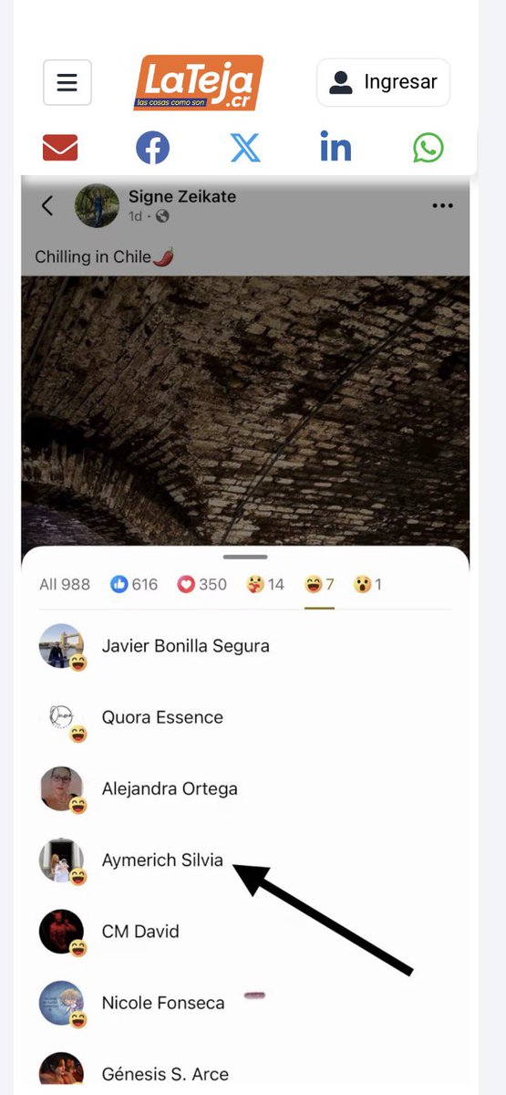 ViborillaShir🐍 tweet media